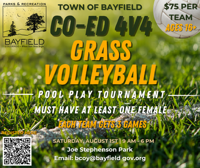 Grass Volleyball Tournament Flyer